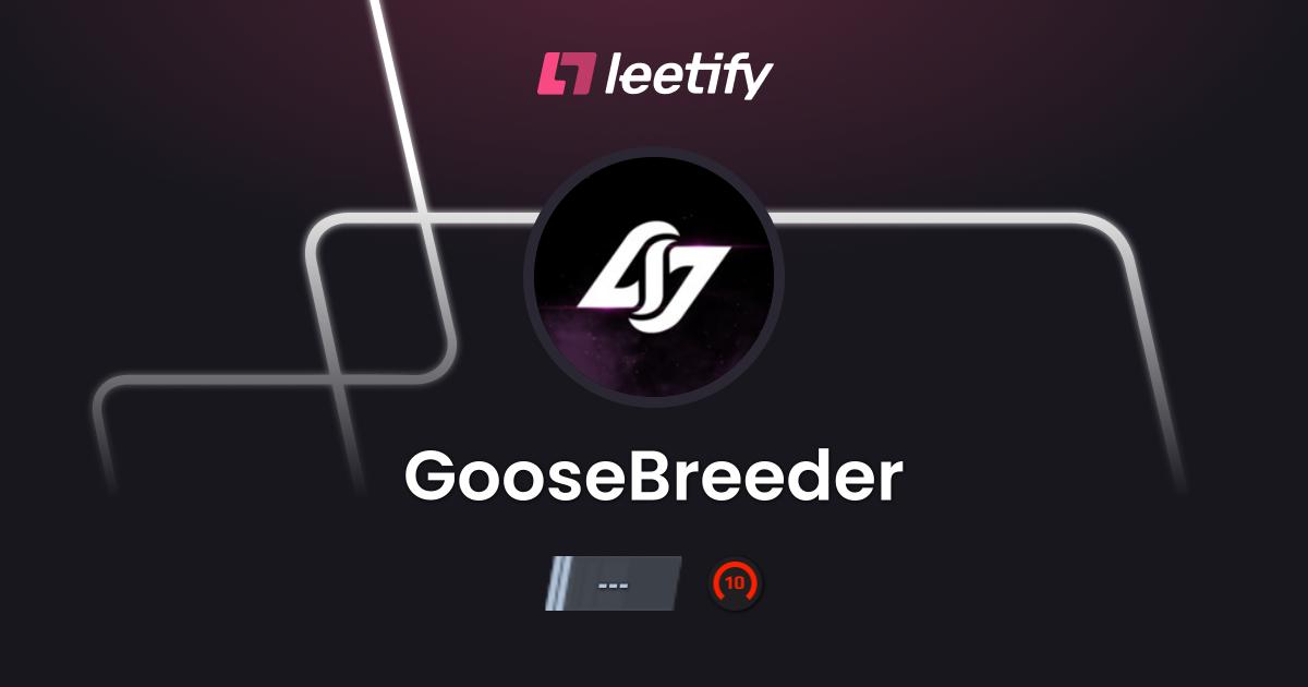 GooseBreeder - CS2 Stats and Player Profile - Leetify