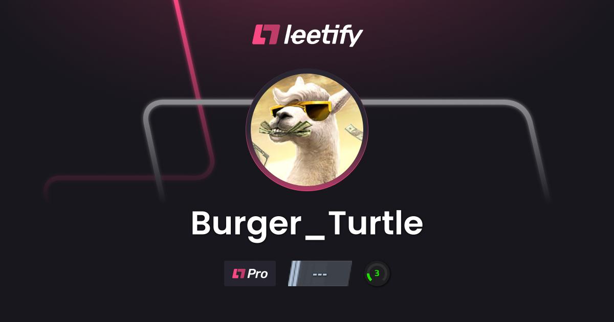 Burger_Turtle - CS2 Stats and Player Profile - Leetify