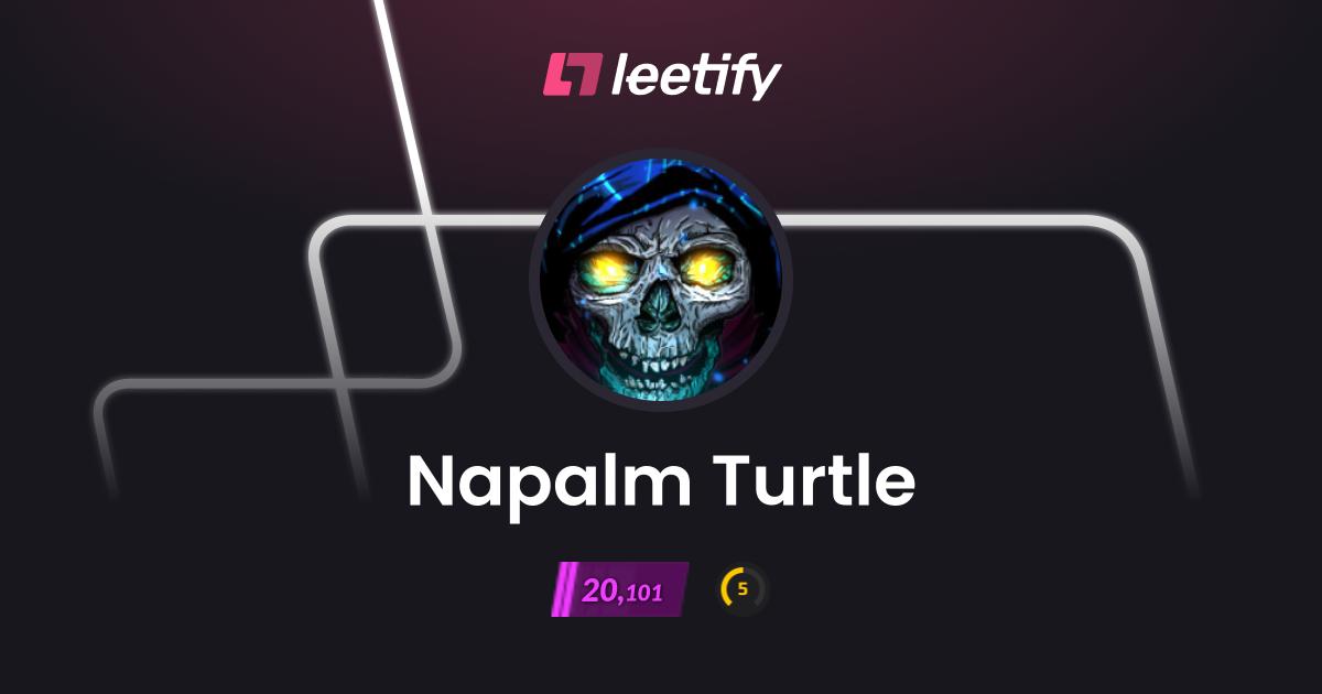 Napalm Turtle - CS2 Stats and Player Profile - Leetify